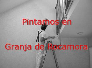 Pintor Alicante Granja de Rocamora