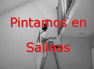 Pintor Alicante Salinas